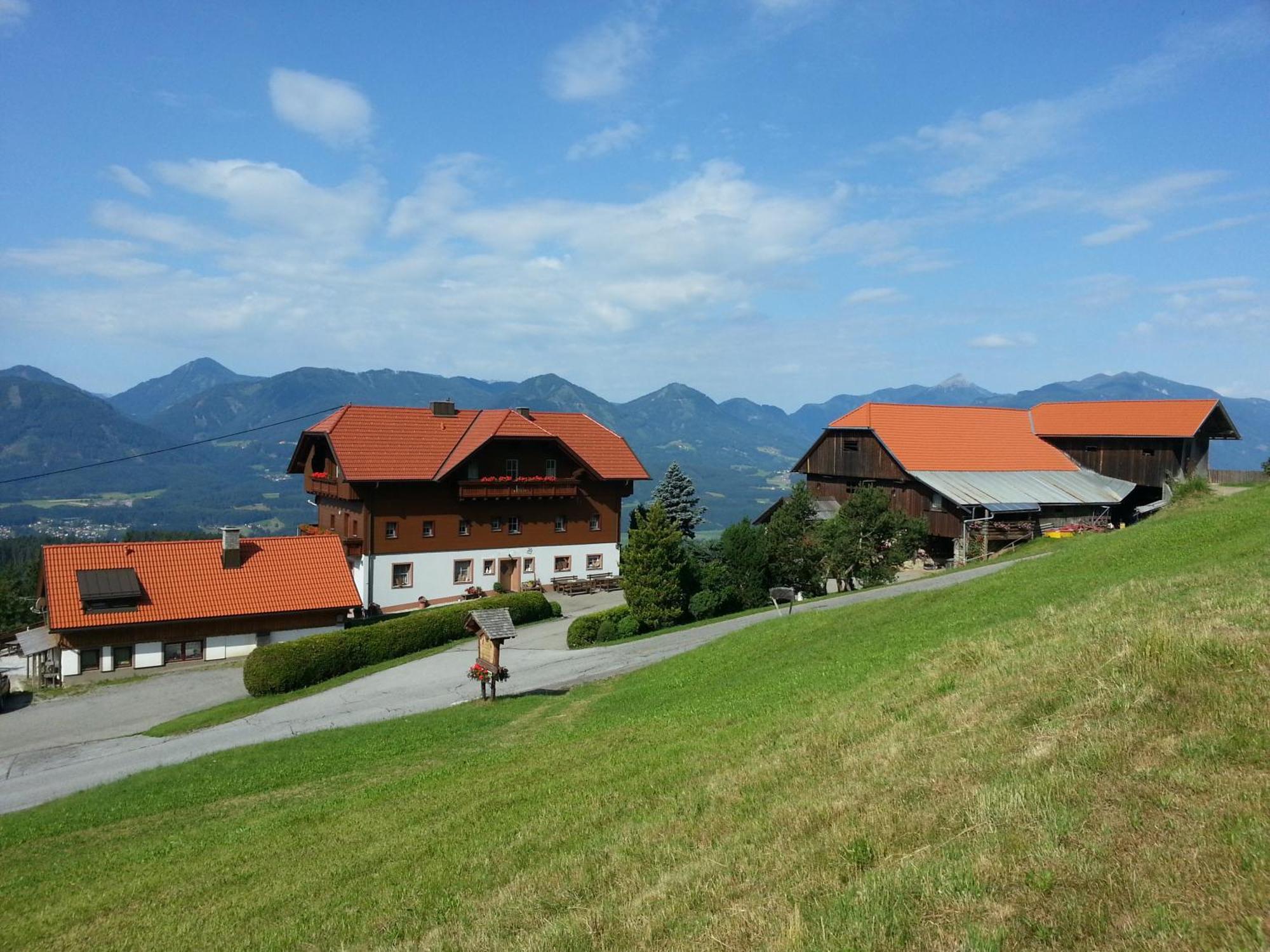 Pension Bauernhof Baumgartner Stanahof Fresach Екстер'єр фото